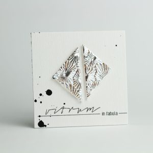MR. XXL - silver clear florentine